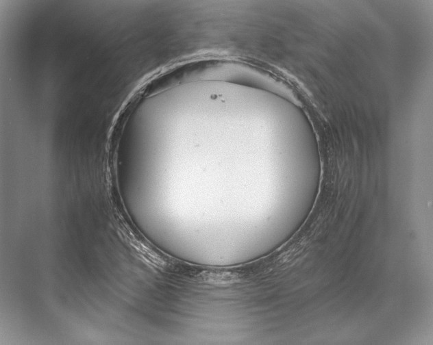 X0000072521168200608111712