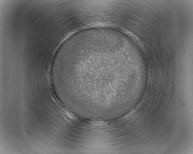 X0000072521170200608111712