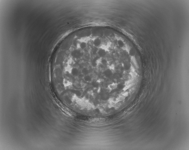 X0000072521171200608111712