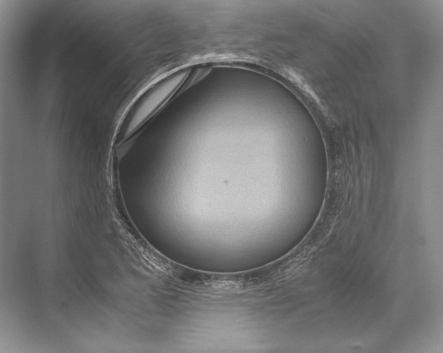 X0000072521173200608111712