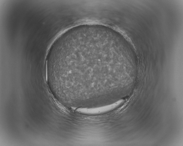 X0000072521175200608111712