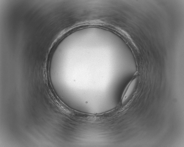 X0000072521176200608111712