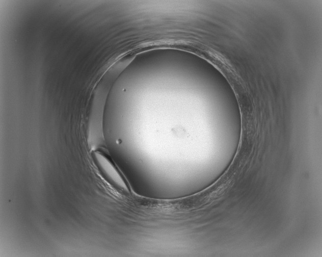 X0000072521177200608111712