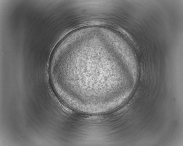 X0000072521178200608111712