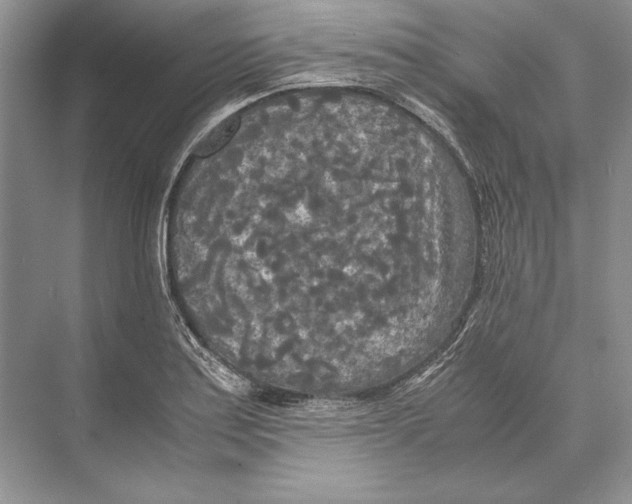 X0000072521179200608111712