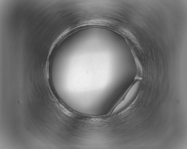 X0000072521180200608111712