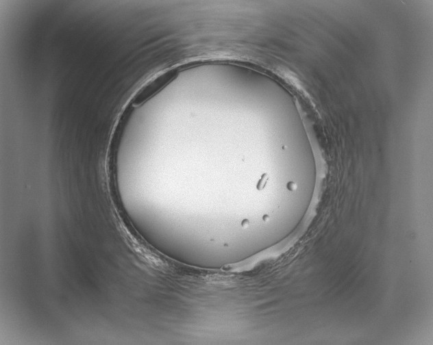 X0000072521181200608111712