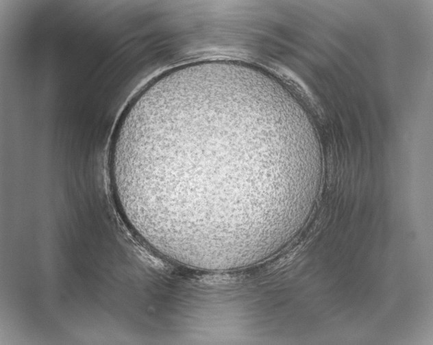 X0000072521182200608111712