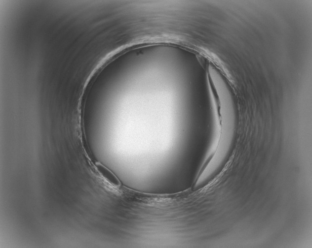 X0000072521184200608111712