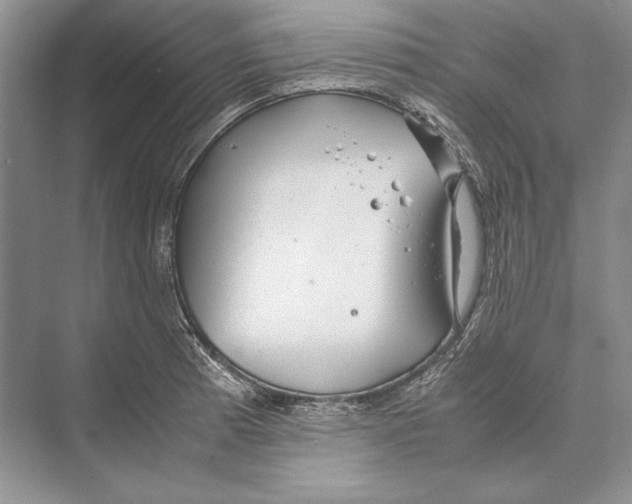 X0000072521185200608111712