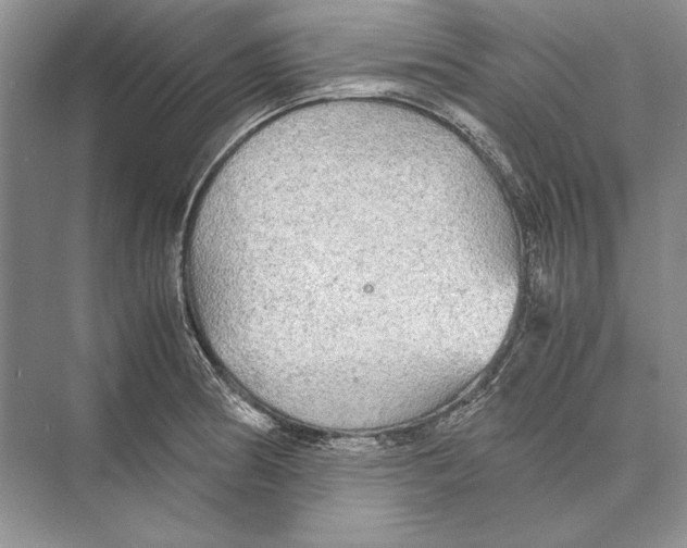 X0000072521186200608111712