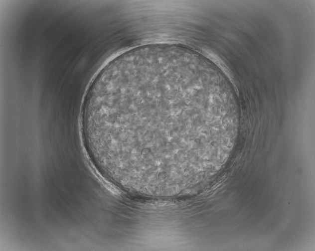 X0000072521187200608111712