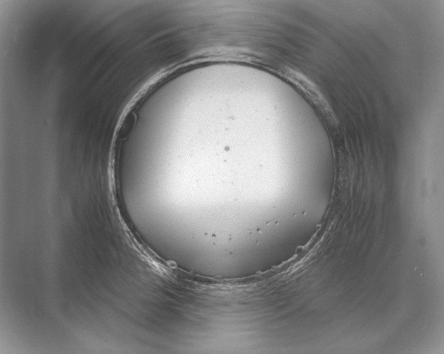 X0000072521188200608111712