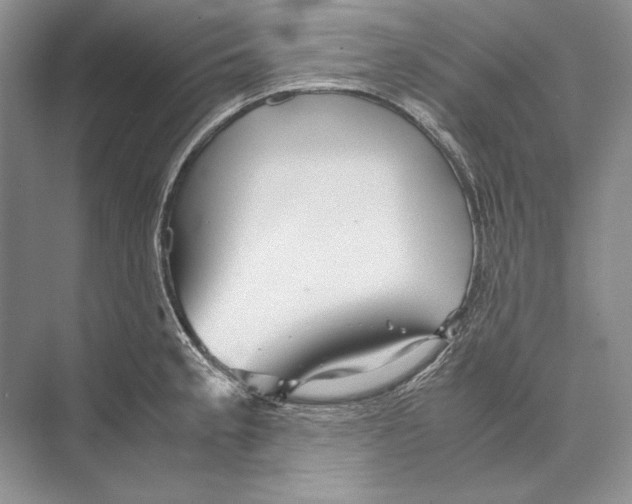 X0000072521189200608111712