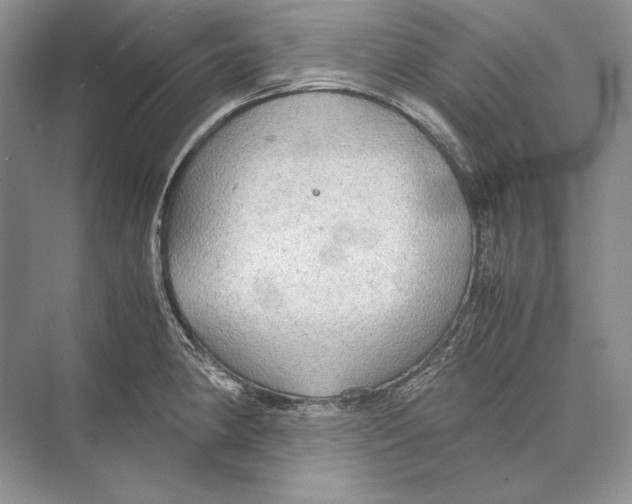 X0000072521190200608111712