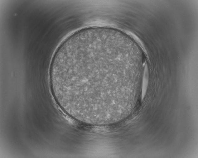 X0000072521191200608111712