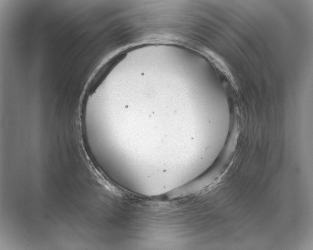 X0000072521192200608111712