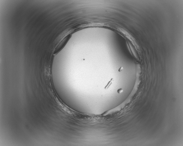 X0000072521193200608111712