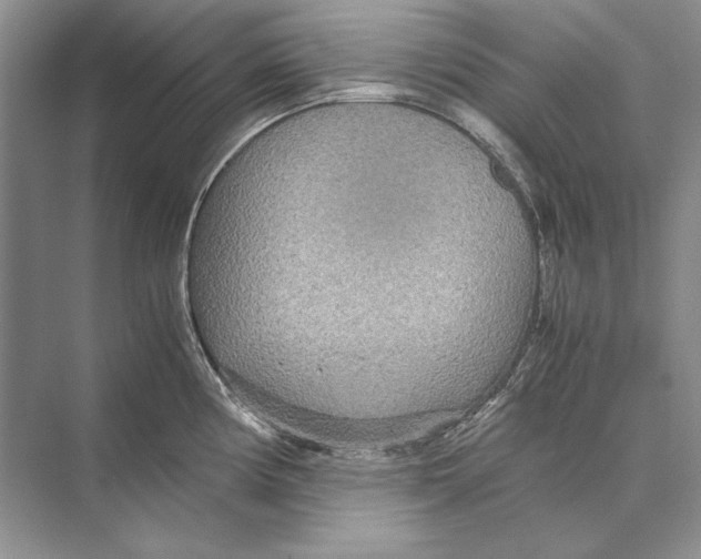 X0000072521194200608111712