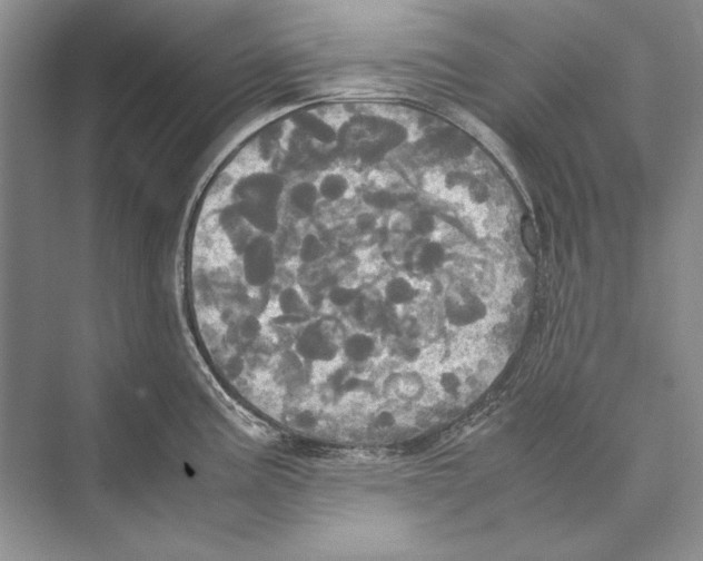 X0000072521195200608111712