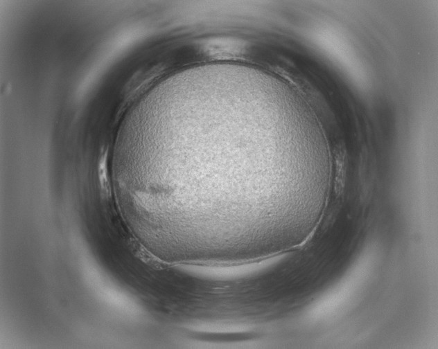 X0000072521198200608111712