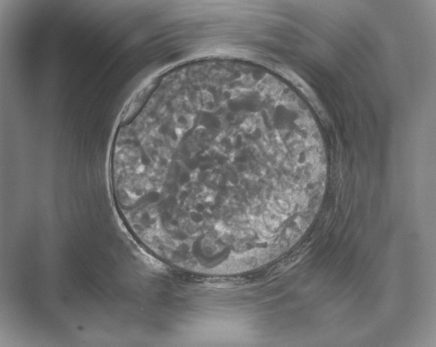 X0000072521199200608111712