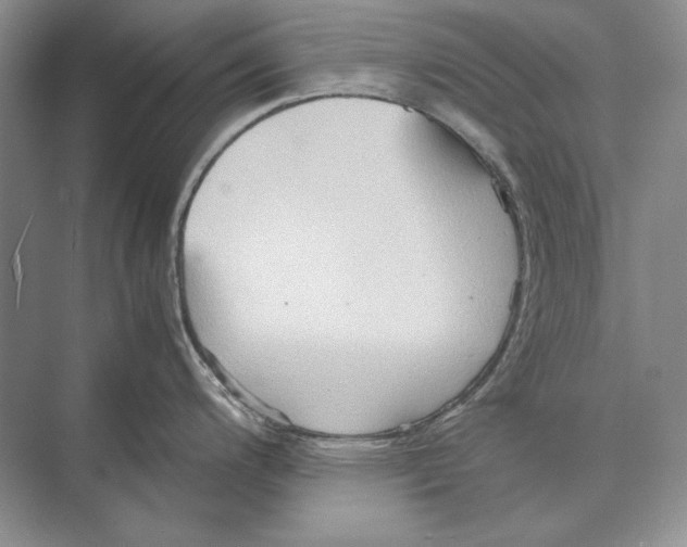 X0000072521200200608111712