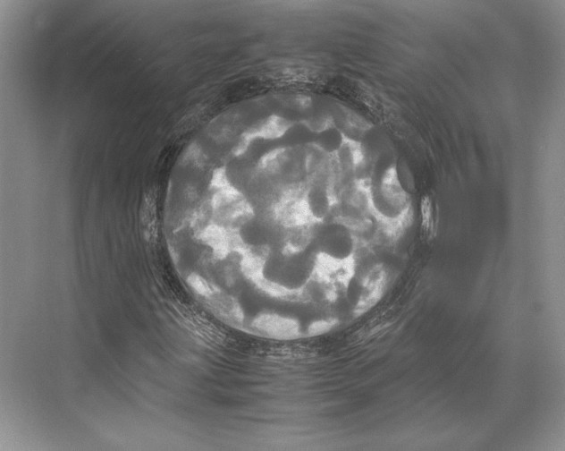 X0000072521203200608111711