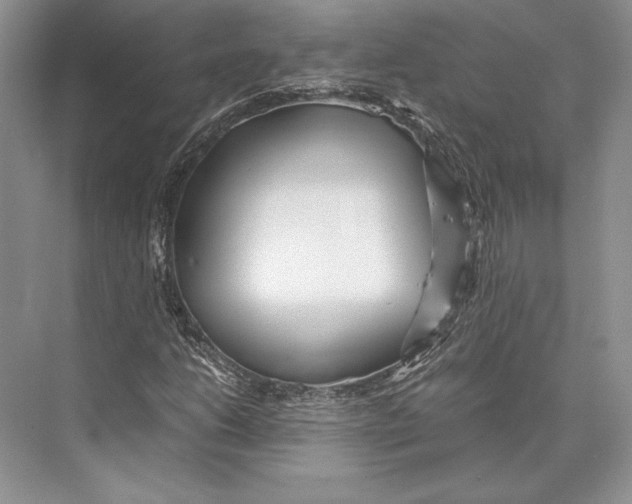 X0000072521206200608111711