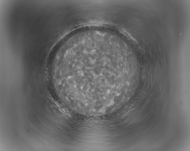 X0000072521208200608111711