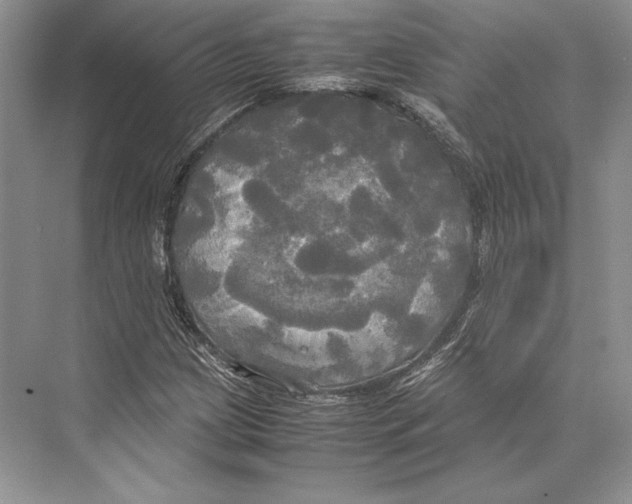 X0000072521209200608111711