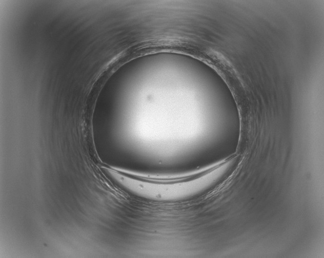 X0000072521210200608111711