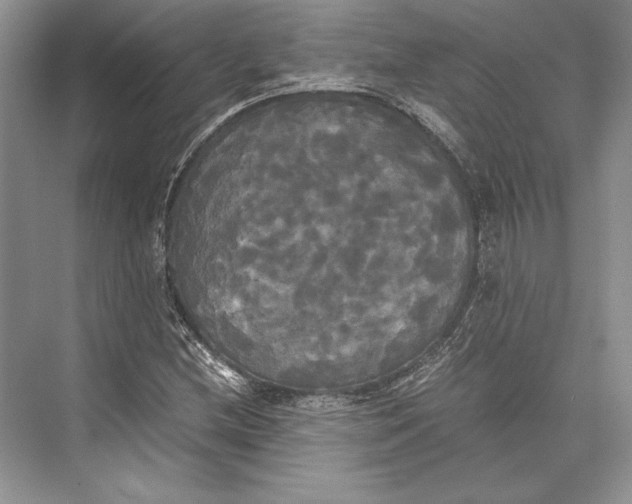 X0000072521212200608111711