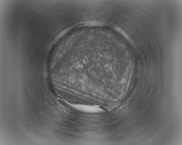 X0000072521213200608111711