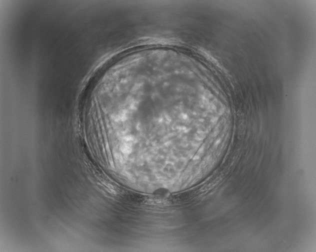 X0000072521215200608111711