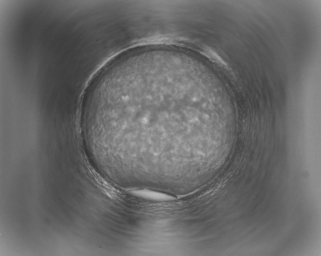 X0000072521216200608111711