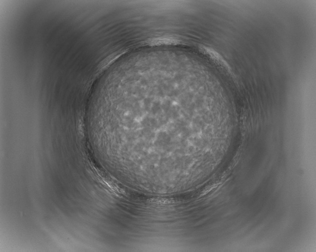 X0000072521217200608111711