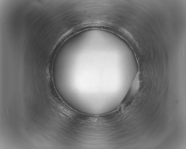 X0000072521218200608111711