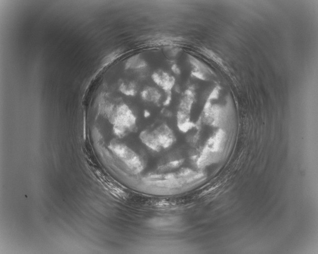 X0000072521219200608111711