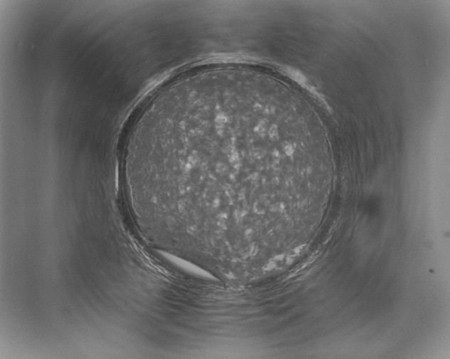 X0000072521221200608111711