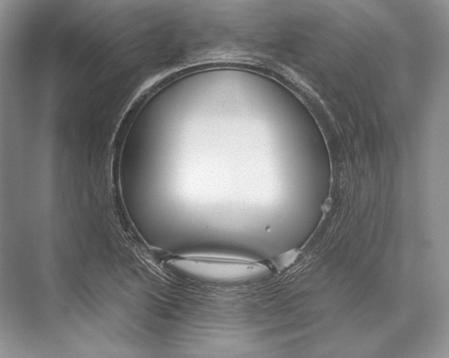 X0000072521222200608111711