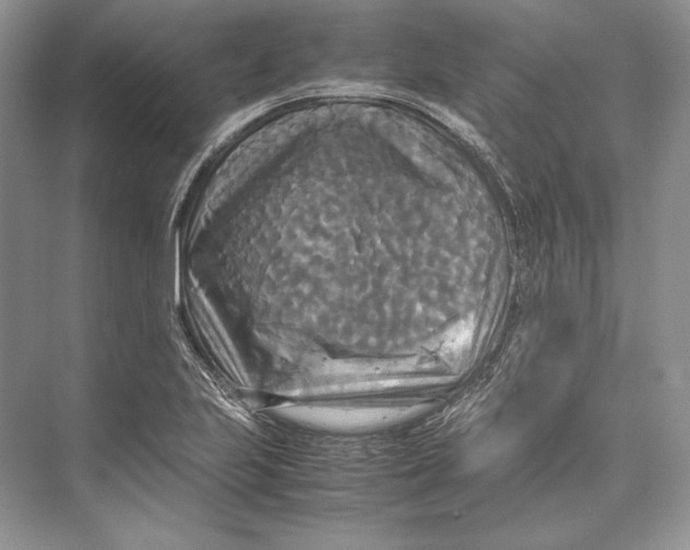 X0000072521223200608111711