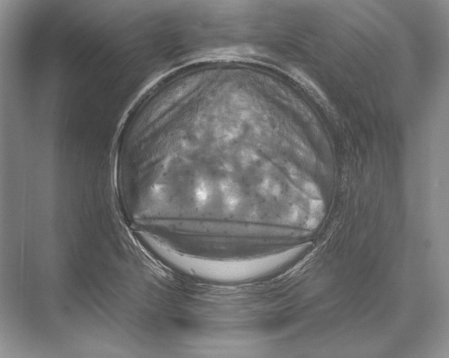 X0000072521224200608111711