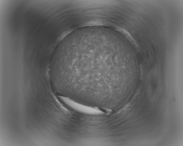 X0000072521225200608111711