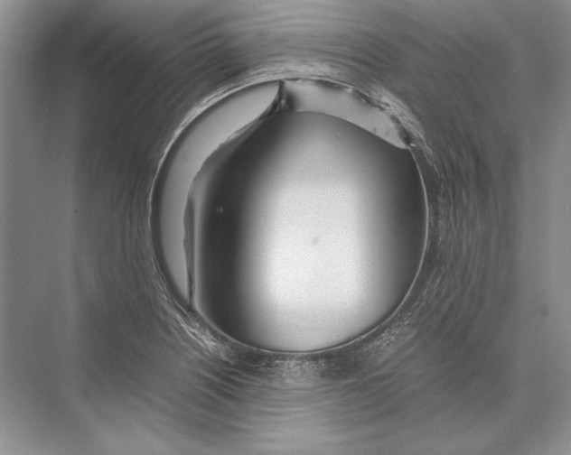 X0000072521226200608111711