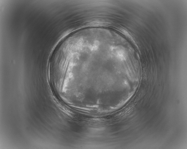 X0000072521227200608111711