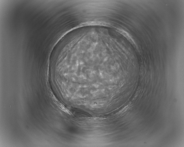 X0000072521228200608111711