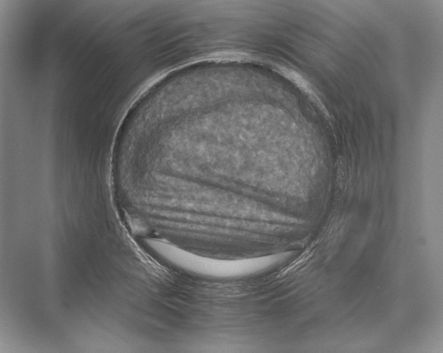 X0000072521229200608111711