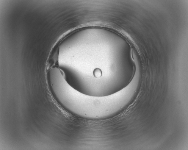 X0000072521230200608111711