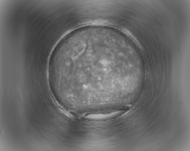 X0000072521232200608111712